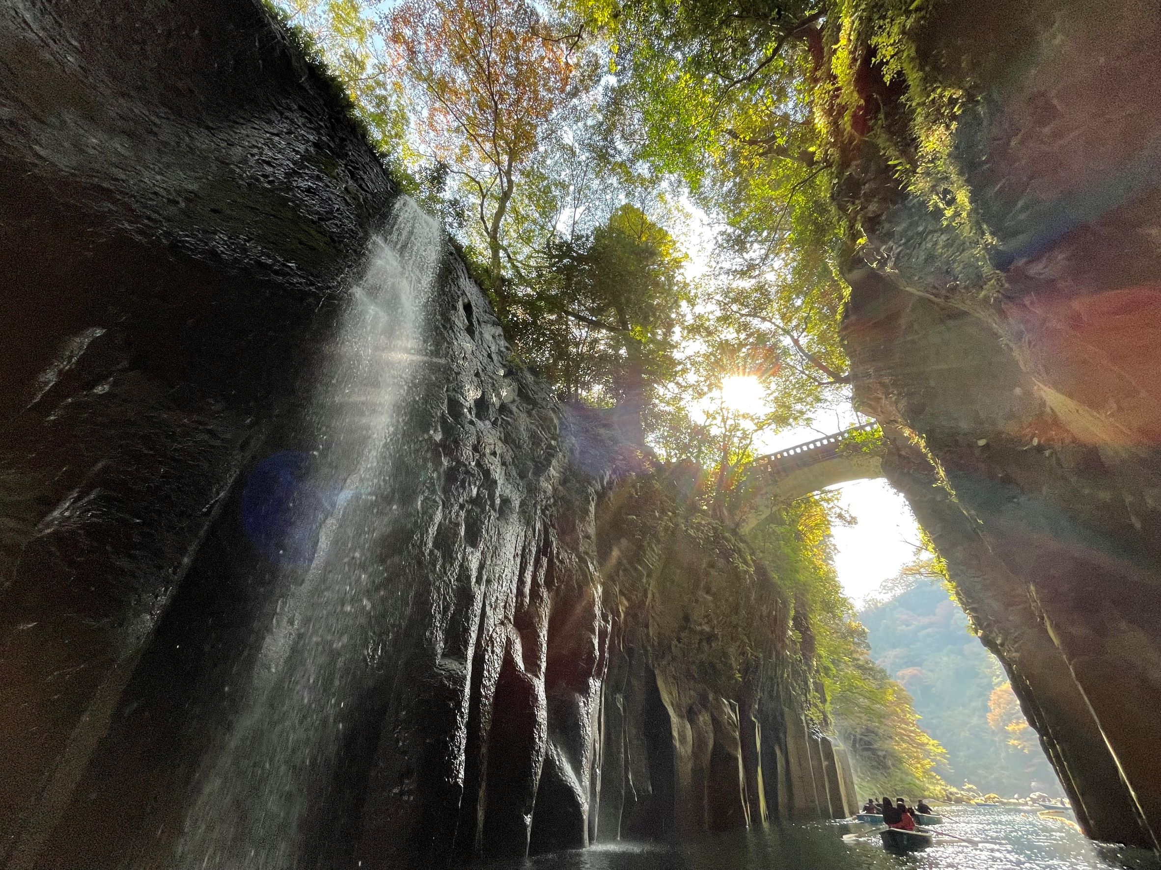 お茶を入れている様子の画像